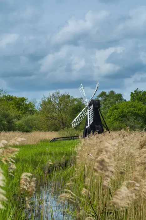 Framed Print : Wicken Fen wetlands with windmill water pump and Phragmites reeds, Cambridgeshire, England, May Framed Print : Wicken Fen wetlands with windmill water pump and Phragmites reeds, Cambridgeshire, England, May