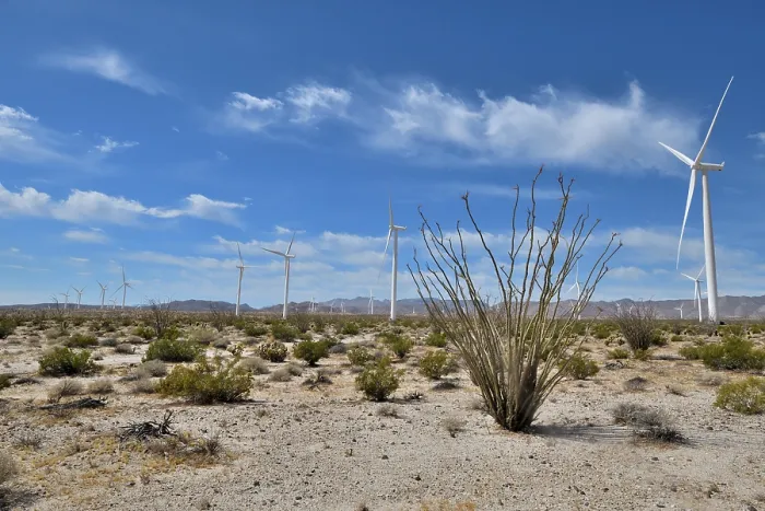 Framed Print : Wind turbines in the desert, near Ocoitillo, California, USA. June, 2023 Framed Print : Wind turbines in the desert, near Ocoitillo, California, USA. June, 2023