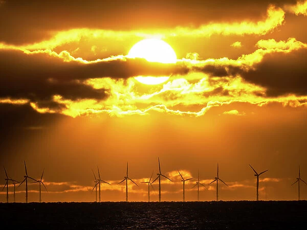 Wind turbines at The Walney offshore wind farm silhouetted at sunset, off Walney Island, Cumbria, UK. November, 2021