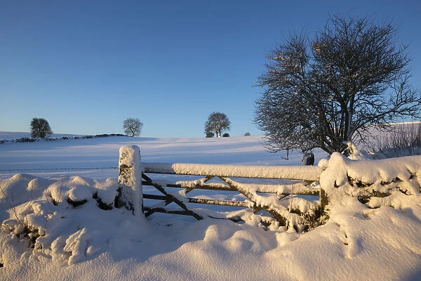 Winter scene with gate near Bonsall, Peak District National Park, Derbyshire