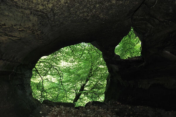 Wlkeschkummer, small cave, Echternach, Mullerthal, Luxembourg, May 2009