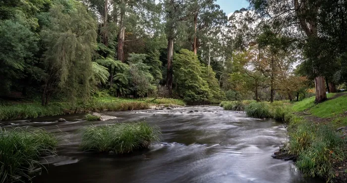 Framed Print : Yarra River surrounded by woodland, Warburton, Victoria, Australia. April, 2023 Framed Print : Yarra River surrounded by woodland, Warburton, Victoria, Australia. April, 2023