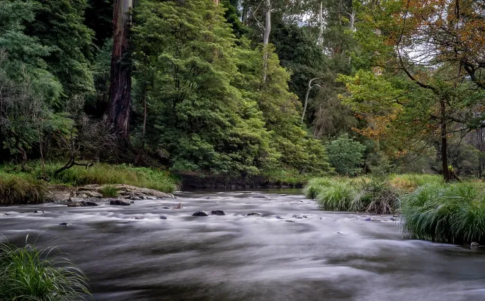 Framed Print : Yarra River surrounded by woodland, Warburton, Victoria, Australia. April, 2023 Framed Print : Yarra River surrounded by woodland, Warburton, Victoria, Australia. April, 2023