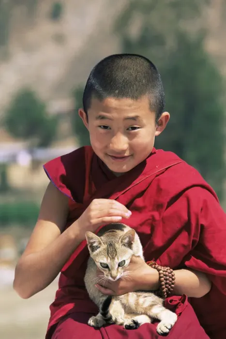 Framed Print : Young buddhist monk holding cat, Punakha Dzong, Central Bhutan 2001 Framed Print : Young buddhist monk holding cat, Punakha Dzong, Central Bhutan 2001