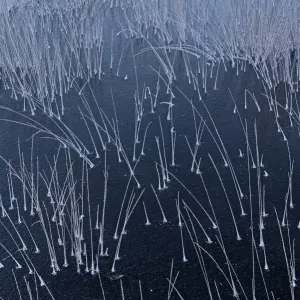 Abstract ice pattern, Klein Schietveld, Brasschaat, Belgium, January Abstract ice pattern, Klein Schietveld, Brasschaat, Belgium, January