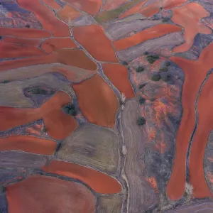 Aerial view of agricultural landscape, Montana Palentina, Castille and Leon, Spain Aerial view of agricultural landscape, Montana Palentina, Castille and Leon, Spain