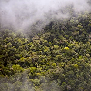 Aerial view of Amazon Rainforest, Peru, July 2015