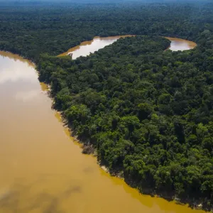 Amazon Rainforest Aerial Print Amazon Rainforest Aerial Print