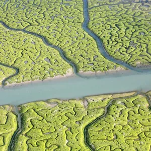 Aerial view of the Bay of Cadiz delta, Sancti Petri, Cdiz, Spain Aerial view of the Bay of Cadiz delta, Sancti Petri, Cdiz, Spain