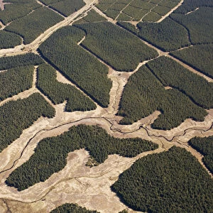 Aerial view of blocks of forestry plantation planted on blanket bog, Forsinard, Caithness