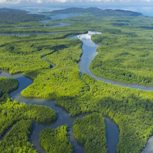 Aerial view of Delta Sierpe River Terraba, Corcovado National Park, Osa Peninsula