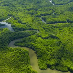 Aerial view of Delta Sierpe River Terraba, Corcovado National Park, Osa Peninsula Aerial view of Delta Sierpe River Terraba, Corcovado National Park, Osa Peninsula