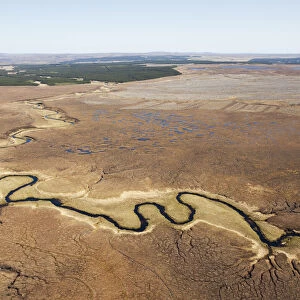 Aerial view across the Flow Country showing peatland pool system with commercial