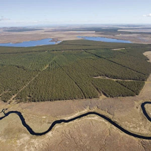 Aerial view across the Flow Country, with timber plantation, Forsinard, Caithness