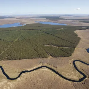 Aerial view across the Flow Country, with timber plantation, Forsinard, Caithness Aerial view across the Flow Country, with timber plantation, Forsinard, Caithness