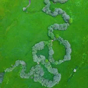 Aerial view of the Izarilla River meandering across countryside lined with trees, Villaescusa, Cantabria, Spain. May Aerial view of the Izarilla River meandering across countryside lined with trees, Villaescusa, Cantabria, Spain. May