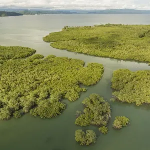Vue aérienne de la forêt de mangrove, péninsule d'Osa, Costa Rica, mai 2017. Vue aérienne de la forêt de mangrove, péninsule d'Osa, Costa Rica, mai 2017.
