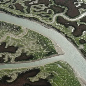 Aerial view of marshes with Seaweed exposed at low tide, Baha de Cdiz Natural Park Aerial view of marshes with Seaweed exposed at low tide, Baha de Cdiz Natural Park