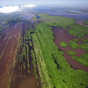 Aerial view of the parallel bars at Marismas Nacionales, the largest mangrove coastal ecosystem in the Mexican Pacific and habitat for the Jaguar, Nayarit, Mexico. October
