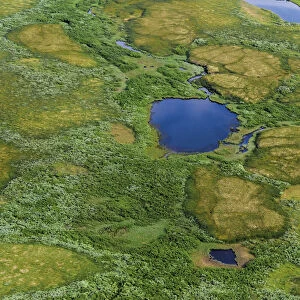 Aerial view of Pechora River Delta, Nenets Autonomous Okrug, Arctic, Russia, July 2017