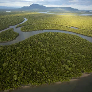 Aerial view of rivers and mangrove forest. Sarawak Mangrove Reserve, Sarawak, Borneo, Malaysia