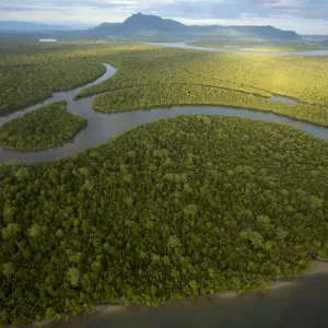 Aerial view of rivers and mangrove forest. Sarawak Mangrove Reserve, Sarawak, Borneo, Malaysia Aerial view of rivers and mangrove forest. Sarawak Mangrove Reserve, Sarawak, Borneo, Malaysia
