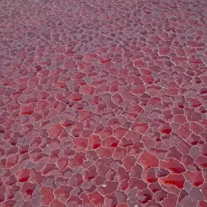 Aerial view of salt pans coloured red by cyanobacteria, Lake Natron, Rift Valley