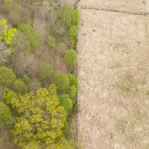 Aerial view of spring woodland protected by deer fence print Aerial view of spring woodland protected by deer fence print