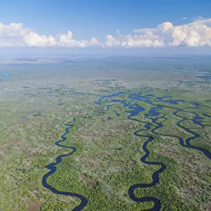 Aerial view over subtropical mangrove wetlands of the Everglades National Park. Florida