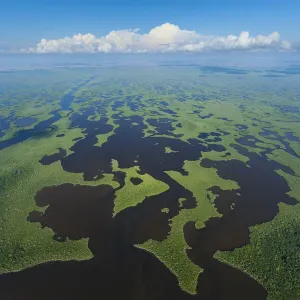 Aerial view over subtropical mangrove wetlands of the Everglades National Park. Florida