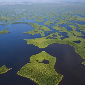 Aerial view over subtropical mangrove wetlands of the Everglades National Park. Florida Aerial view over subtropical mangrove wetlands of the Everglades National Park. Florida