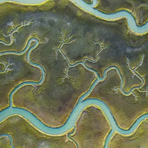 Aerial view of tidal channels in marshland. Mockhorn Island State Wildlife Management Aerial view of tidal channels in marshland. Mockhorn Island State Wildlife Management