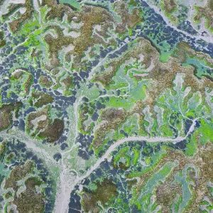 Aerial view of tidal marshland at low tide, Marismas de Santona, Victoria y Joyel Natural Park, Cantabria, Spain. January, 2021 Aerial view of tidal marshland at low tide, Marismas de Santona, Victoria y Joyel Natural Park, Cantabria, Spain. January, 2021