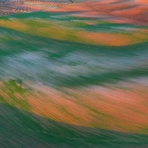 Aerial view of wheat seedlings pushing through strips of bare, cultivated land in spring, turning the landscape green. Toledo, Castilla-La Mancha, Spain