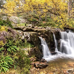 Allt Fhearnagan waterfall in autumnal woodland, Glenfeshie, Cairngorms National Park, Scotland, UK. October, 2019