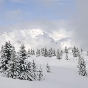Alpine Landscape Print - Fresh Snow, Hauteluce, France Alpine Landscape Print - Fresh Snow, Hauteluce, France