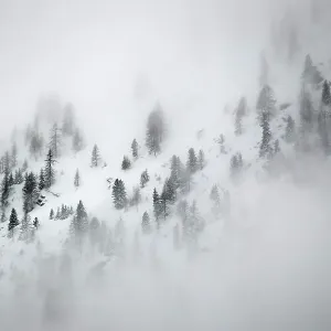 Alpine landscape with snow covered trees and clouds, Gran Paradiso National Park, Italy, March Alpine landscape with snow covered trees and clouds, Gran Paradiso National Park, Italy, March