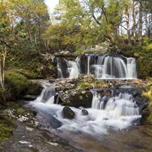 Alt Ruadh river flowing through woodland, Glenfeshie, Cairngorms National Park, Scotland
