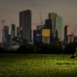 Images Dated 2020 September: 19 Sep 2020