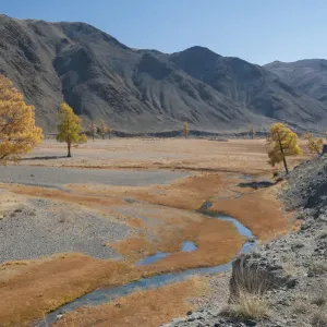 River Khovd Autumn Print River Khovd Autumn Print