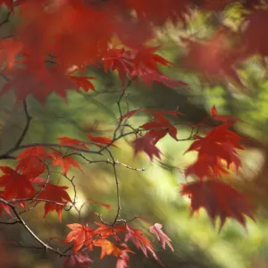 Images Dated 2019: September