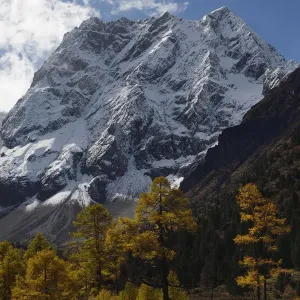 Autumn landscape in the U-shaped valley. Snow covered mountain landscape and vegetation Autumn landscape in the U-shaped valley. Snow covered mountain landscape and vegetation