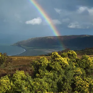 Autumnal landscape on Porlock Hill with Dunkerry Beacon beyond, Exmoor National Park