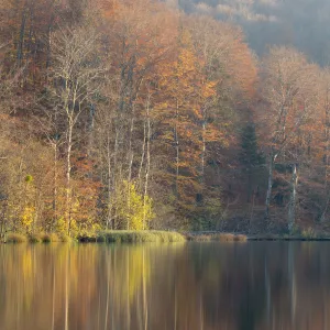 Autumnal reflections in the Upper Lakes, Plitvice Lakes National Park, Croatia. November 2015