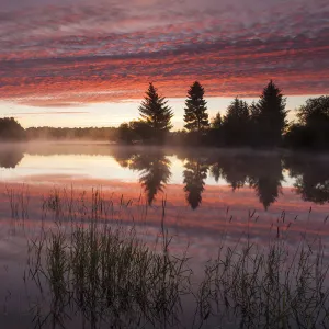 Avielochan at sunrise, Cairngorms National Park, Scotland, UK, August