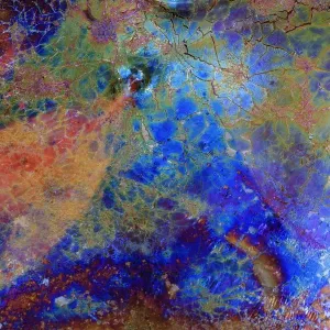 Iridescent Bacteria Print on White Willow Leaf Iridescent Bacteria Print on White Willow Leaf