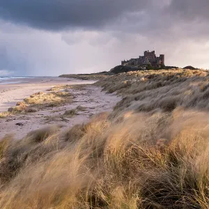 Bamburgh Castle and sand dunes, late evening light, Bamburgh, Northumberland, UK. March 2018