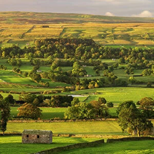 Barns and fields at dawn, Carperby, Yorkshire Dales, UK. October