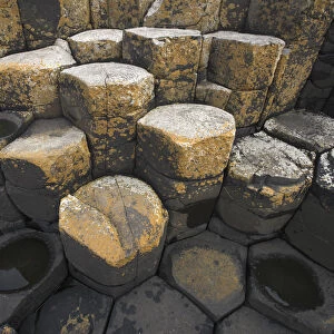 Basalt rocks, Giants Causeway, Unesco Heritage Site, Northern Ireland, June 2009