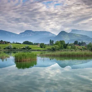 The Bauges Mountains reflected in St Andre lake at dawn, Haute-Savoie, France. June, 2022 The Bauges Mountains reflected in St Andre lake at dawn, Haute-Savoie, France. June, 2022